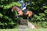 255-HI_MR_HENRY-Henry_Hobby-XC portfolio