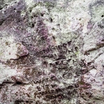 The Wizard's Well, Alderley Edge