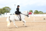 SBM_03409
