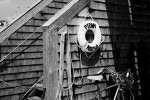 p-town marina b&w