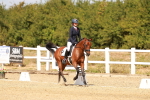 SBM_018484