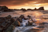 Hartland Tanllyd_