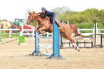SBM_001814