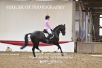 BPP_9344