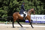 374-ISLANDWOOD_THE_RISING-Sebastian_Roldan_Olivera-WEDTrotUp+DR portfolio