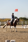 SBM_006981