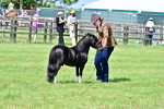 SBM_03675