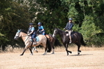 WJ6_9038