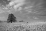 Cold snap Clifton Downs _B0164