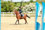SBM_007785