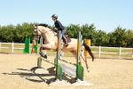 SBM_005331