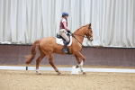 SBM_001393