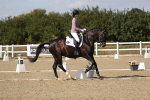 SBM_022704