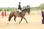 SBM_023542