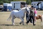 WJ6_4537