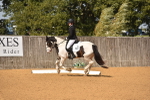 SBM_05589