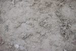 SBM_009751