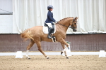 SBM_002386