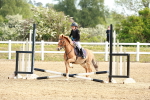 SBM_006618