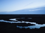 Saltmarsh Blue