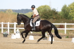 SBM_008288