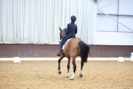 SBM_008883
