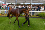 270523-Race 4-River of Stars-0353