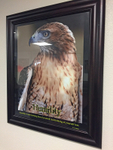 Humility Framed