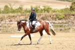 SBM_002823