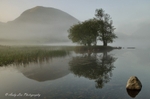 Andy Lea Photography portfolio