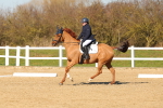 SBM_003488