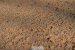 231104A-093808-01160