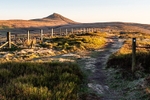 Path to Shutlingsloe (1)