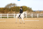 SBM_008994