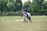 WJ6_5396