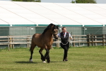 SBM_02298