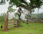 Dunblane show-552