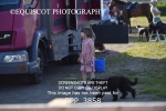 BPP_3858