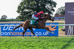 140826-Race 4-Raging Raj-1329