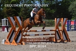BPP_8184