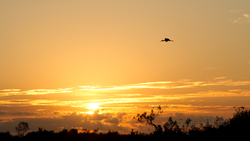 Sun,Bch,Watr 011