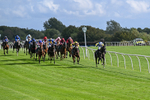 Race 5 4.11pm Every Race Live On Racing TV Handicap portfolio