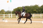 SBM_000225