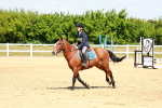 SBM_007788