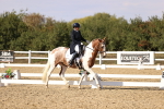 SBM_015446