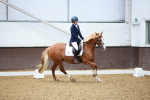 SBM_000386