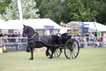 SBM_05803