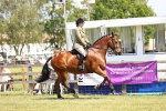 SBM_15063