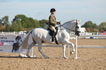 SBM_12176