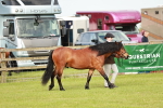 SBM_00419